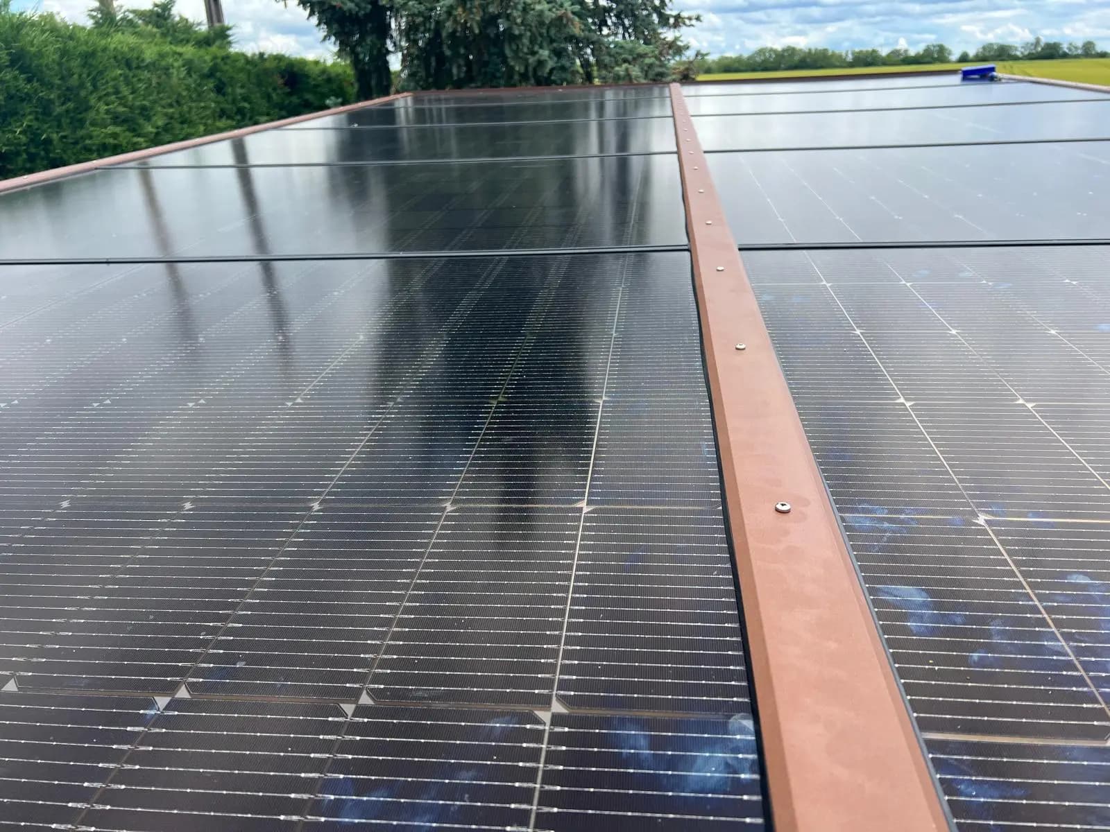 realization1 Carporea